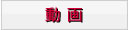 動　画